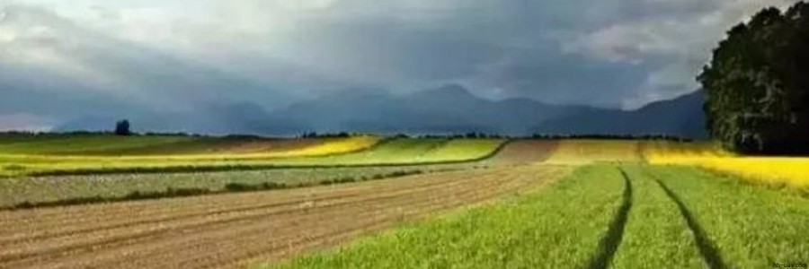 2017年農(nóng)業(yè)補貼申請已經(jīng)開始，這30個項目都可以拿到國家補貼